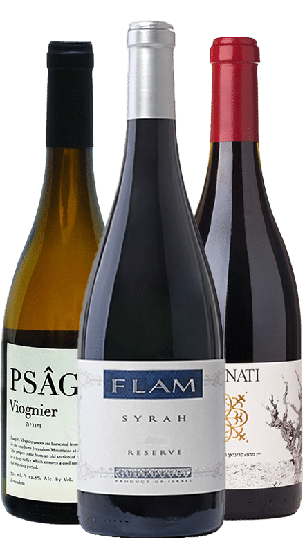 3 יינות ים תיכוניים מזנים שונים